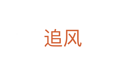 追风