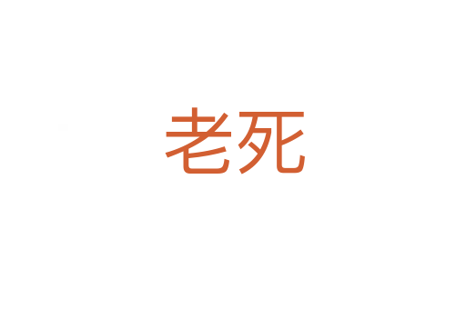 老   